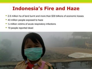 THINKING beyond the canopy
Indonesia’s Fire and Haze
 2.6 million ha of land burnt and more than $30 billions of economic...