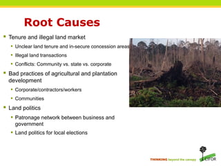 The political economy of fire and haze root causes