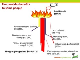 The political economy of fire and haze root causes