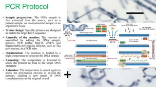 PCR Protocol
– Sample preparation: The DNA sample is
first extracted from the source, such as a
patient sample, an environmental sample or an
organism's tissue
– Primer design: Specific primers are designed
to match the target DNA sequence
– Assembly of the reaction: The reaction is
assembled by adding the DNA sample,
primers, PCR buffer, MgCl2, dNTPs and
thermostable polymerase enzyme, such as Taq
polymerase, in a PCR tube
– Denaturation: The reaction is heated to a
high temperature to separate the DNA strands
– Annealing: The temperature is lowered to
allow the primers to bind to the target DNA
sequence
– Extension: The temperature is raised again to
allow the polymerase enzyme to extend the
primers, creating a new strand of DNA
complementary to the original strand
PIC CREDIT:
Encyclopedia Britannica
 