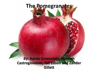 The Pomegranates




    By: Aaron Greenstein, Hannah
Castrogiovanni, Tali Edson and Zander
                Gillett
 