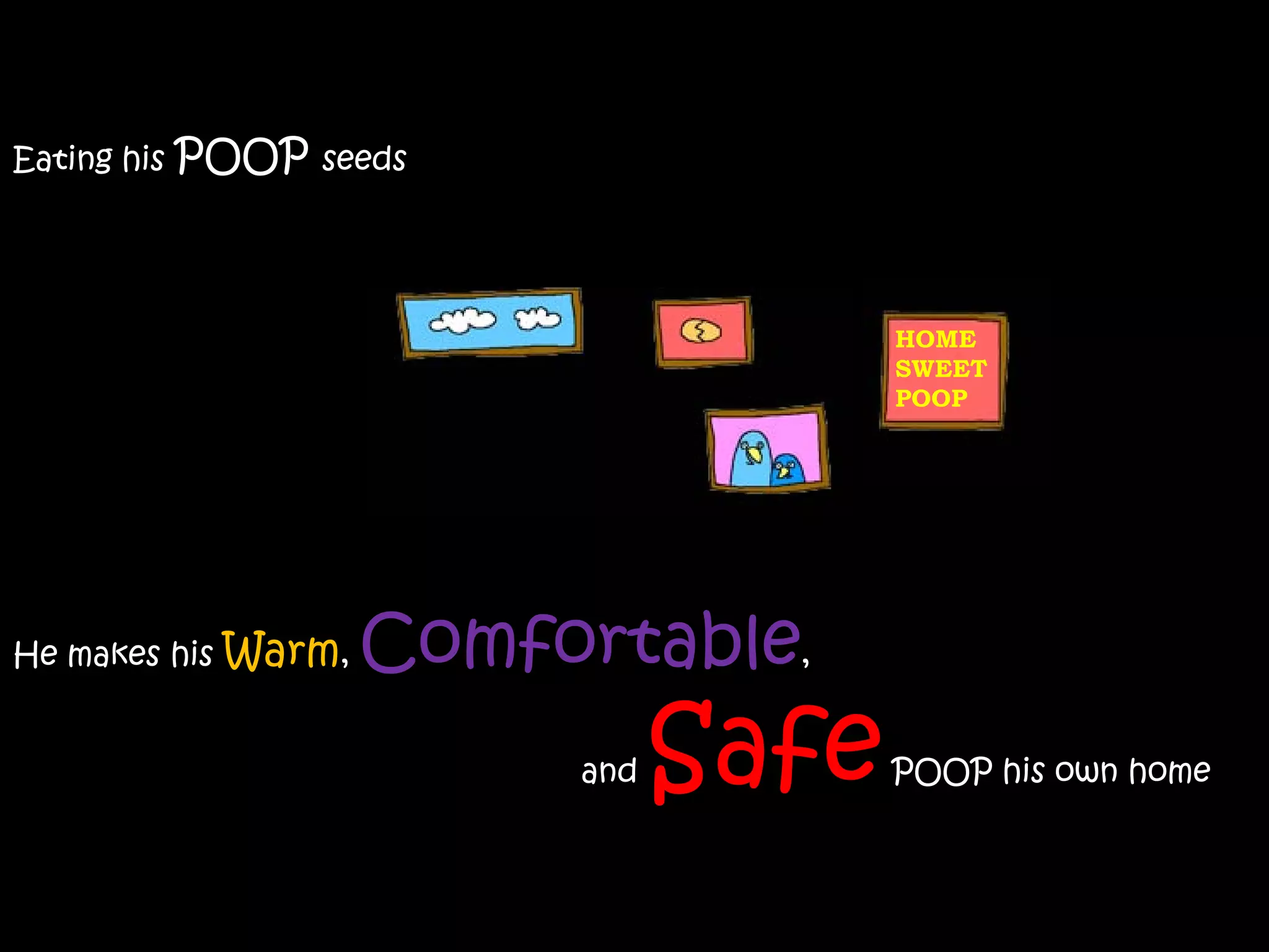 Eating his   POOP   seeds




                                         HOME
                                         SWEET
                                         POOP




He makes his   Warm,   Comfortable,
                            and   Safe   POOP his own home
 