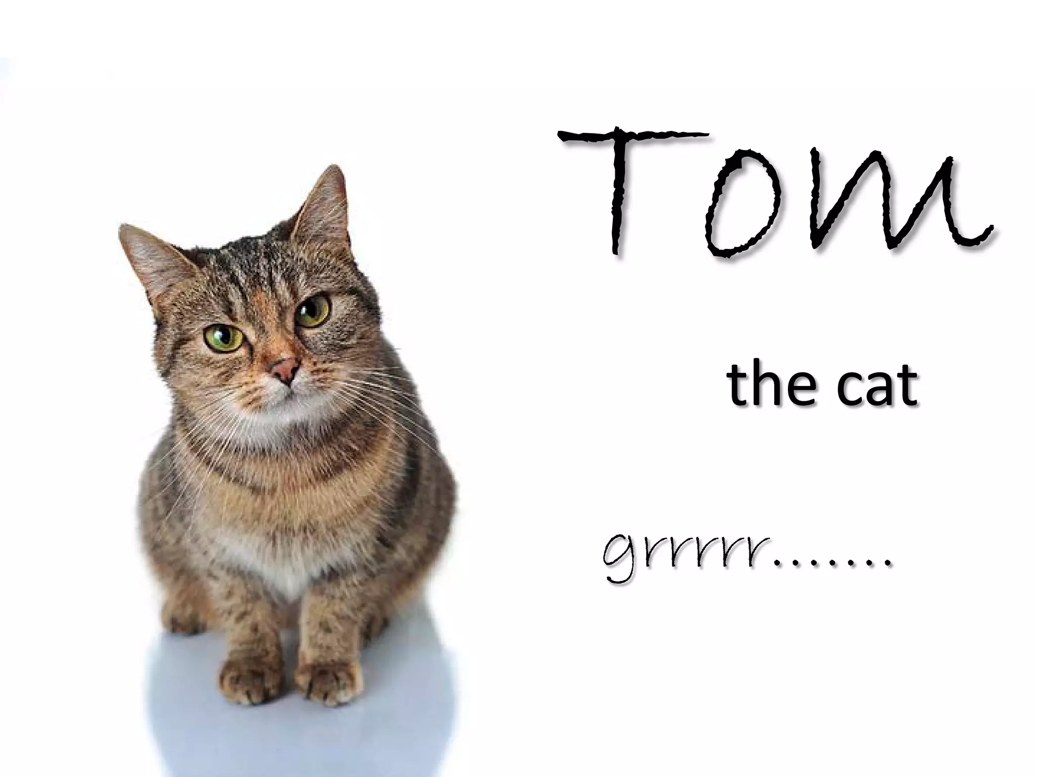 Tom
   the cat

grrrrr…….
 