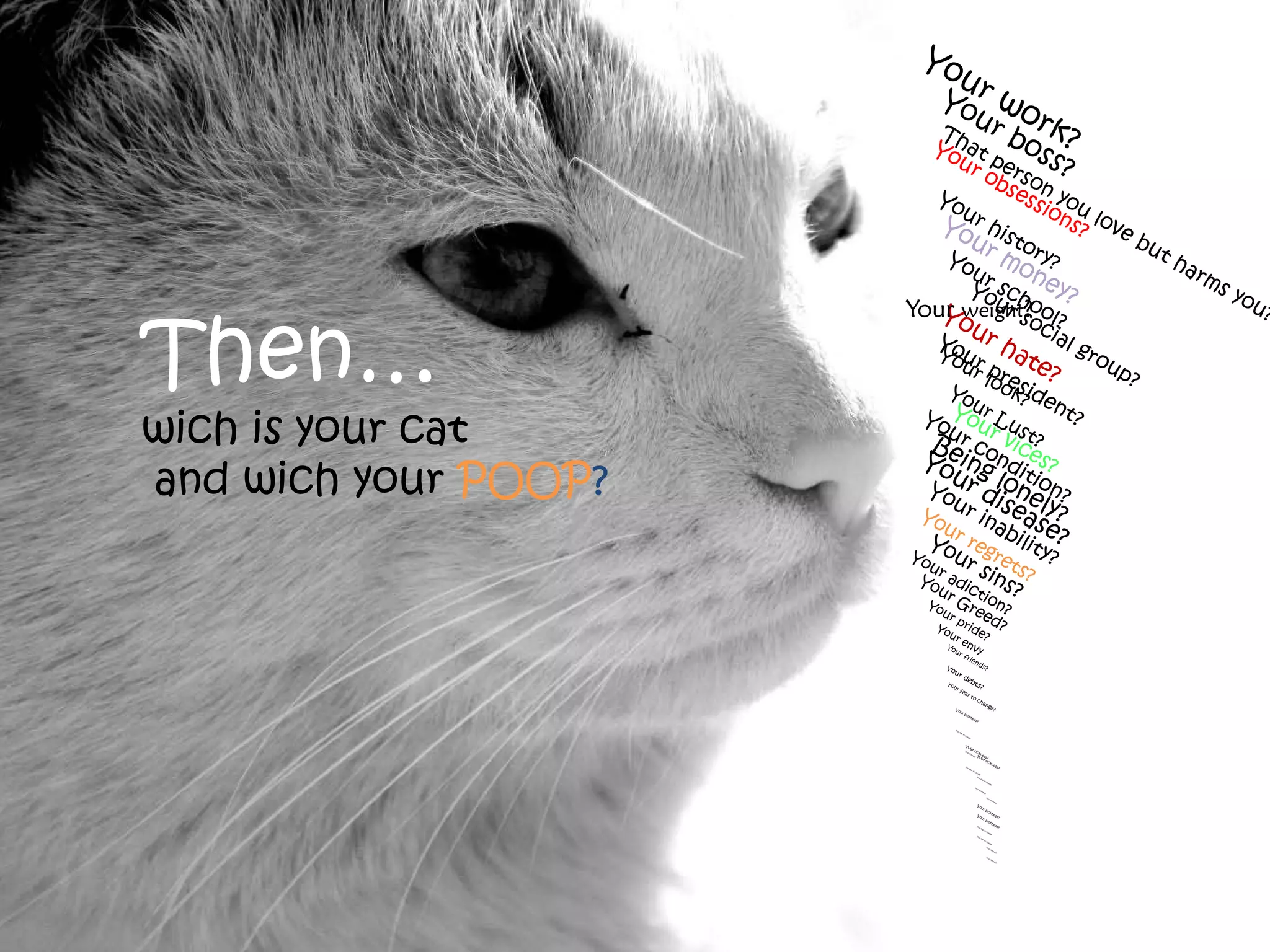 And then…
                      Your weight?

Then…
wich is your cat
and wich your POOP?
 