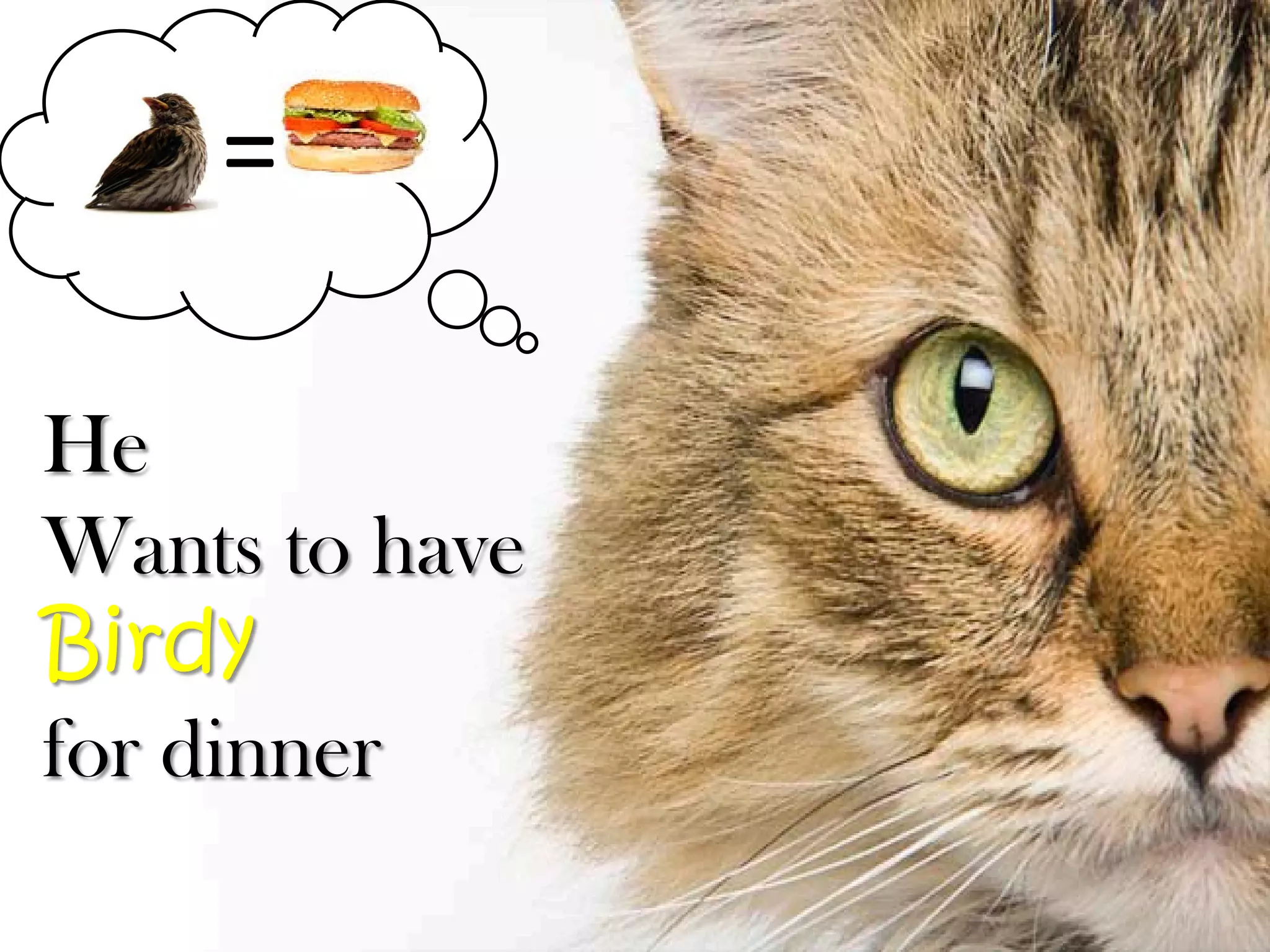 =

He
Wants to have
Birdy
for dinner
 