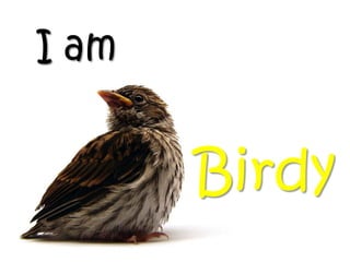 I am


       Birdy
 