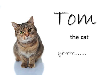 Tom
   the cat

grrrrr…….
 