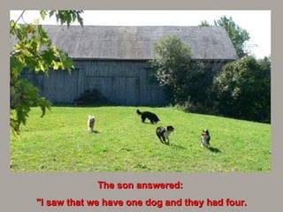 The son answered:  "I saw that we have one dog and they had four. 