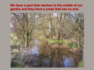 We have a pool that reaches to the middle of our garden and they have a creek that has no end. 