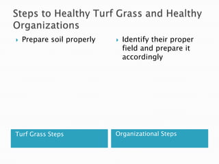 Steps to Healthy Turf Grass and Healthy OrganizationsTurf Grass StepsOrganizational StepsPrepare soil properlyIdentify their proper field and prepare it accordingly