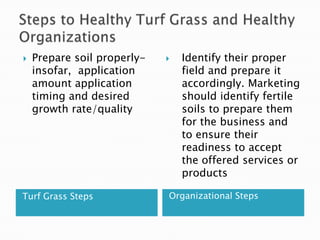 Steps to Healthy Turf Grass and Healthy OrganizationsTurf Grass StepsOrganizational StepsPrepare soil properly- insofar,  application amount application timing and desired growth rate/qualityIdentify their proper field and prepare it accordingly. Marketing should identify fertile soils to prepare them for the business and to ensure their readiness to accept the offered services or products