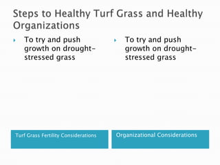 Steps to Healthy Turf Grass and Healthy OrganizationsTurf Grass Fertility ConsiderationsOrganizational ConsiderationsTo try and push growth on drought-stressed grassTo try and push growth on drought-stressed grass