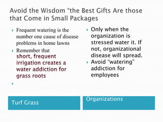 Avoid the Wisdom “the Best Gifts Are those that Come in Small PackagesTurf GrassOrganizationsFrequent watering is the number one cause of disease problems in home lawnsRemember that short, frequent irrigation creates a water addiction for grass rootsOnly when the organization is stressed water it. If not, organizational disease will spread.Avoid “watering” addiction for employees
