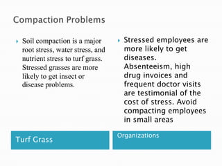 Compaction ProblemsTurf GrassOrganizationsSoil compaction is a major root stress, water stress, and nutrient stress to turf grass.  Stressed grasses are more likely to get insect or disease problems.Stressed employees are more likely to get diseases. Absenteeism, high drug invoices and frequent doctor visits are testimonial of the cost of stress. Avoid compacting employees in small areas