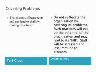 Covering ProblemsTurf GrassOrganizationsThatch can suffocate roots and can lead to shallow rooting over timeDo not suffocate the organization by covering its problems. Such practices will eat up the potential of the organization and may lead to its “kill”.  Staff will be stressed and less immune to diseases
