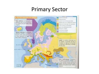 Primary Sector