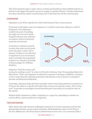 CHapter 2: Your Brain’s Sexual Cocktail
The Porn Circuit | 10
This brain chemistry plays a major role in creating neural pathways that establish patterns of
behavior and triggers that spark a person to engage in specific behavior. To better understand
how these chemicals enable sexual learning, here is the basic list and the roles they play.
Dopamine
Dopamine is one of the superheroes of the brain because it has so many powers.
If someone could siphon away your dopamine, it would be worse than sitting in a vault of
Kryptonite. Even Superman
wouldn’t do much of anything.
He might not even eat or drink.
Dopamine focuses your attention
on whatever task is at hand and
motivates you forward.
It activates or enhances rewards
circuitry that make you feel good,
and it also plays a major role in
memory. It helps us to recall what
is important in our environment,
and to remember the appropriate
response to a stimulus, according
to bioneurologist Dr. Williams
Struthers.
Dopamine “fuels the tension and
craving for meeting a need,” he writes in Wired for Intimacy: How Pornography Hijacks the
Male Brain2
. That’s why dopamine is released in response to all drugs of addiction, and plays
a role in many disorders affecting motivation and attention such as obsessive-compulsive
disorder and behavioral addictions.
Essentially, dopamine helps the brain remember what is interesting and how to respond to it.
It focuses the mind on a specific task while other concerns are ignored, saying, “Hey, do this
now!” It provides a neurological reward that feels good, and assists in cravings for more of
the activity.
Without doubt, dopamine is either a superhero or a super foe, depending on whether an
activity affects a person positively or negatively.
Testosterone
Often cited as the male hormone (although women have it in lesser amounts), testosterone
dramatically increases sexual arousal and desire, Mark Kastleman writes in The Drug of
the New Millennium: The Brain Science Behind Internet Porn Use.3
It is a hormone that is
HO
HO NH2
Dopamine
 