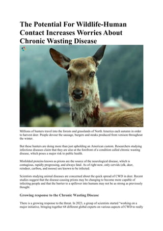 The Potential For Wildlife-Human
Contact Increases Worries About
Chronic Wasting Disease
Millions of hunters travel into the forests and grasslands of North America each autumn in order
to harvest deer. People devour the sausage, burgers and steaks produced from venison throughout
the winter.
But these hunters are doing more than just upholding an American custom. Researchers studying
infectious diseases claim that they are also at the forefront of a condition called chronic wasting
disease, which poses a major risk to public health.
Misfolded proteins known as prions are the source of the neurological disease, which is
contagious, rapidly progressing, and always fatal. As of right now, only cervids (elk, deer,
reindeer, caribou, and moose) are known to be infected.
Scientists studying animal diseases are concerned about the quick spread of CWD in deer. Recent
studies suggest that the disease-causing prions may be changing to become more capable of
infecting people and that the barrier to a spillover into humans may not be as strong as previously
thought.
Growing response to the Chronic Wasting Disease
There is a growing response to the threat. In 2023, a group of scientists started “working on a
major initiative, bringing together 68 different global experts on various aspects of CWD to really
 