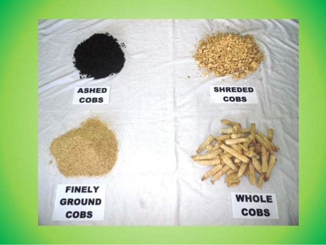 The Potential Of Corn Cobs As Source Of Fertilizer For White Corn Pro Vegetable broth made with corn cobs, husks and floss tastes absolutely delicious and contains only the minimal ingredients that you yourself put in. of corn cobs as source of fertilizer