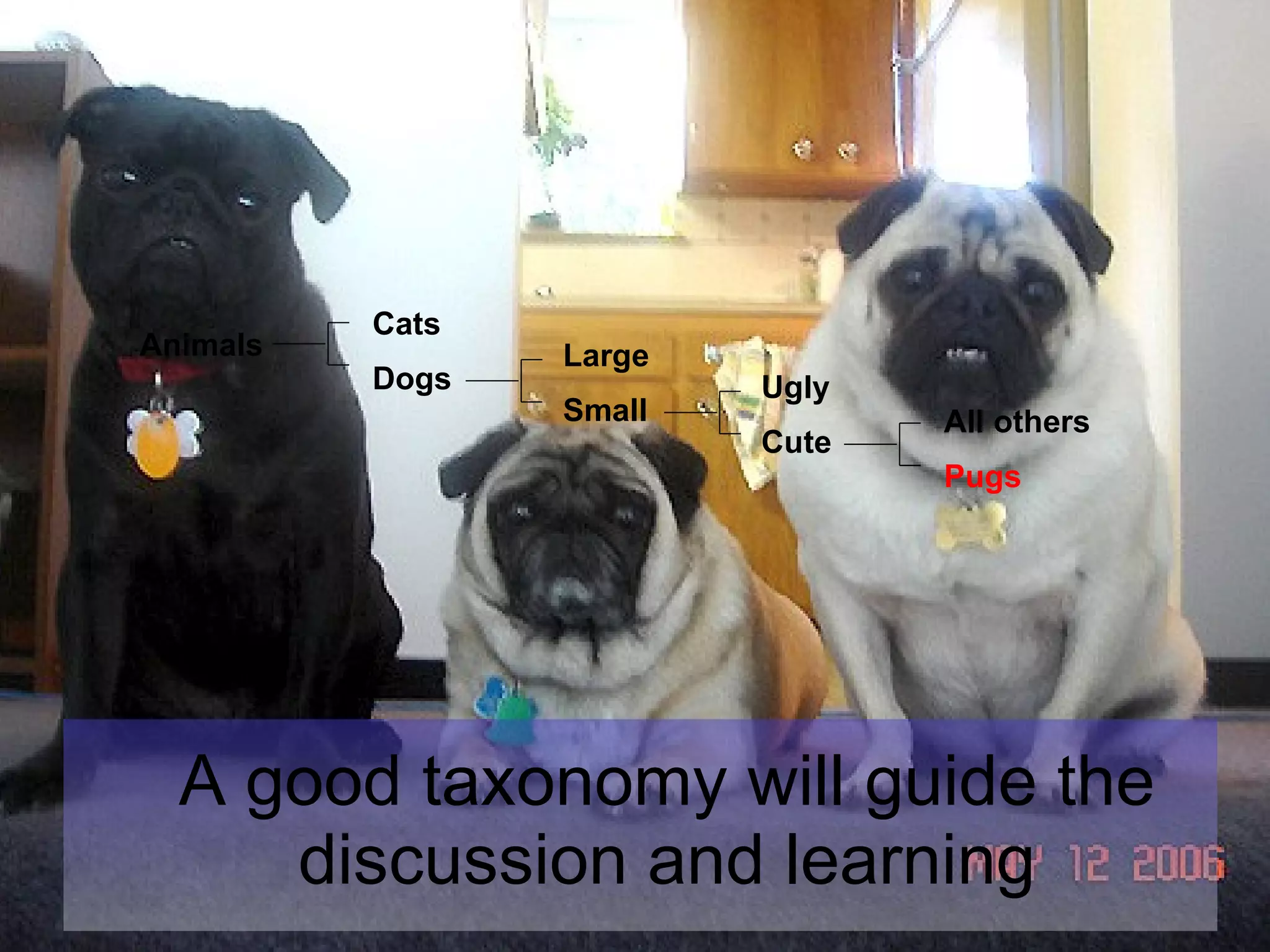 A good taxonomy will guide the discussion and learning Animals  Cats  Dogs  Large Small Ugly Cute All others Pugs 