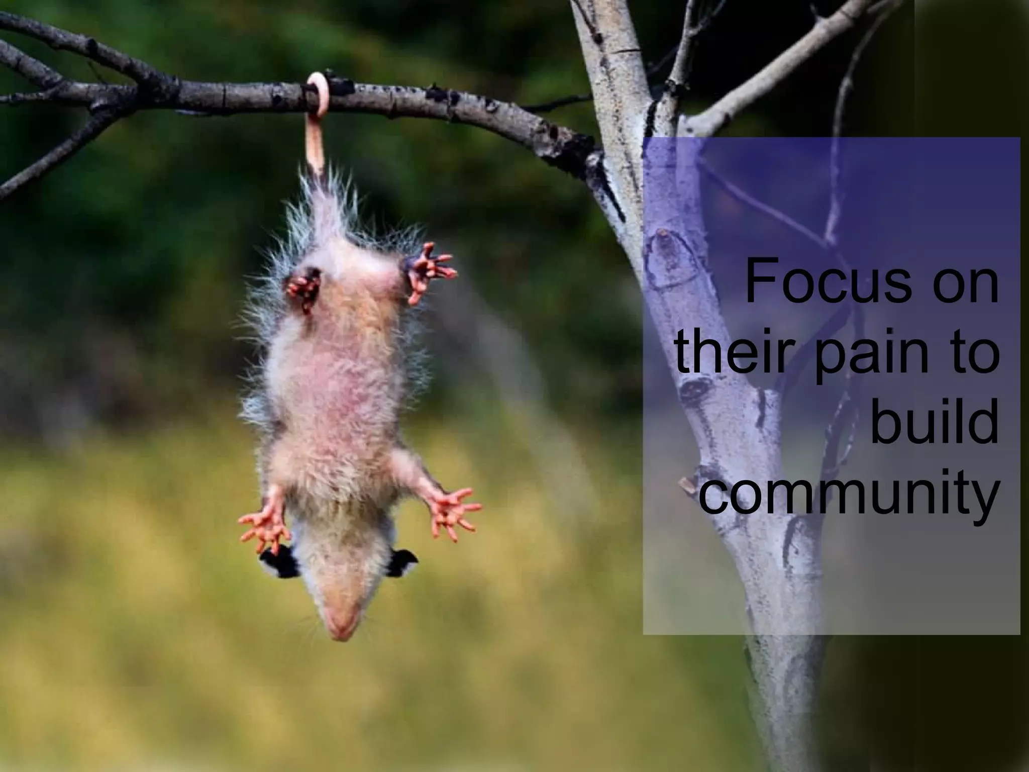 Focus on their pain to build community 