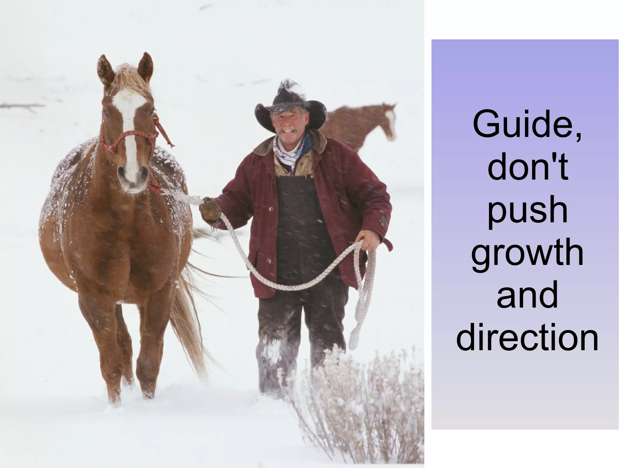 Guide, don't push growth and direction 