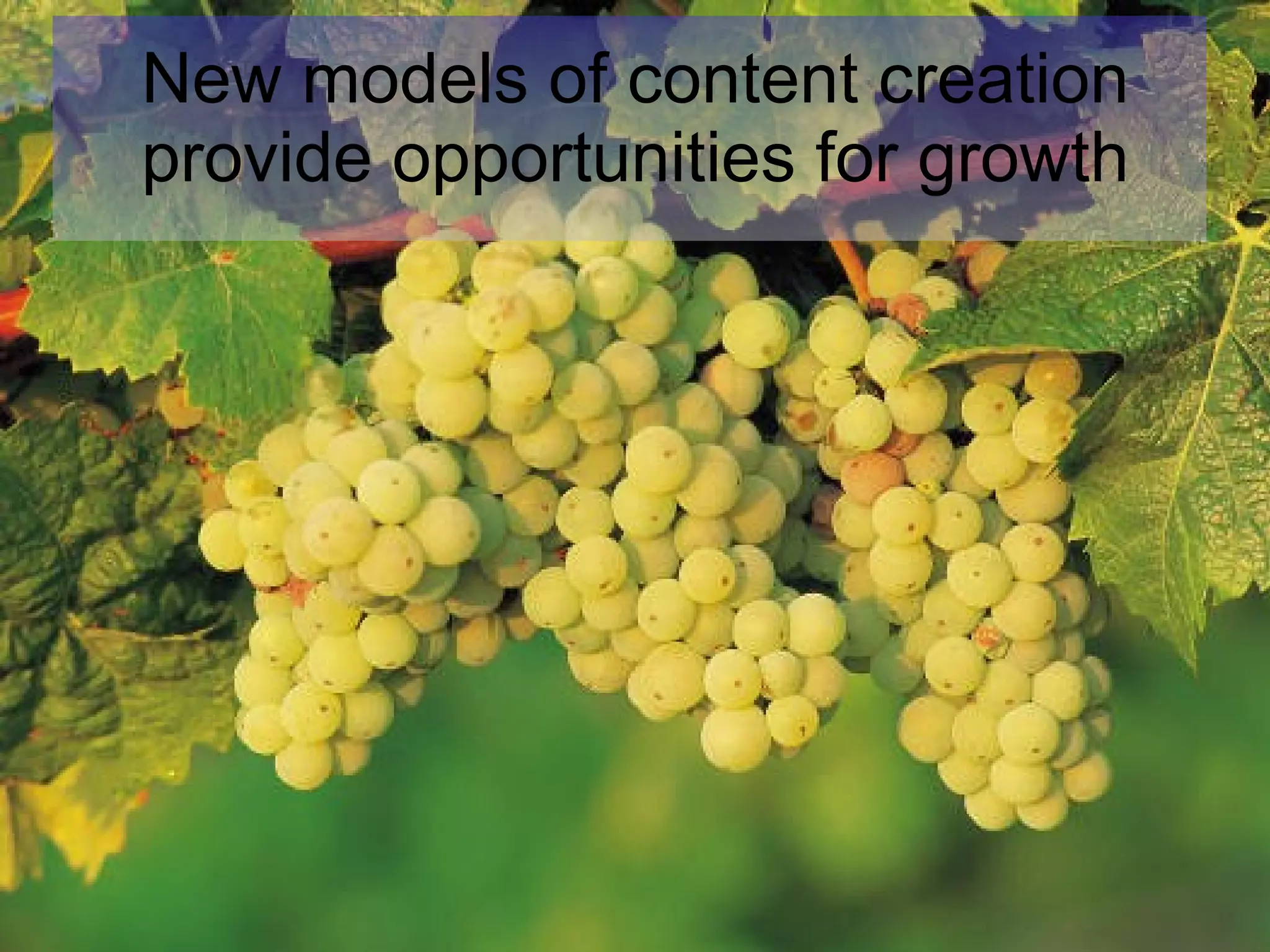 New models of content creation provide opportunities for growth 