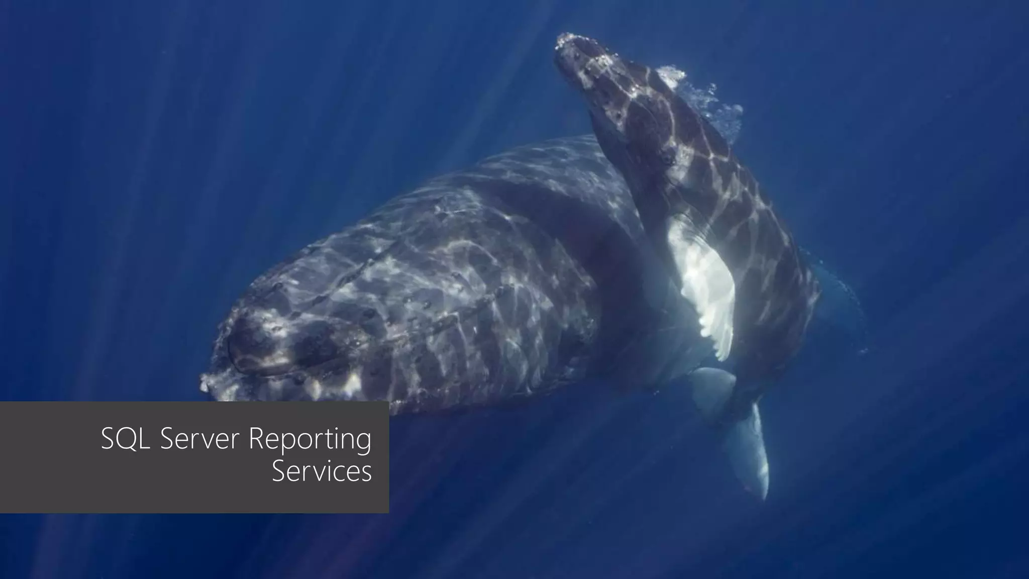 SQL Server Reporting
Services
 