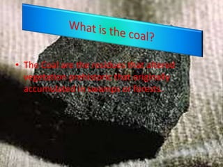 • The Coal are the residues that altered
vegetation prehistoric that originally
accumulated in swamps or forests.
 