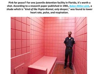 Pink for peace? For one juvenile detention facility in Florida, it's worth a
shot. According to a research paper published...