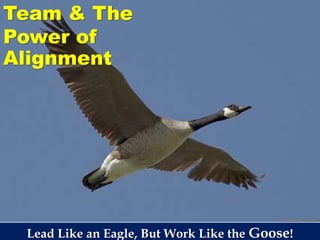 Lead Like an Eagle, But Work Like the Goose!
Team & The
Power of
Alignment
 