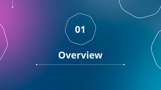 01
Overview
 