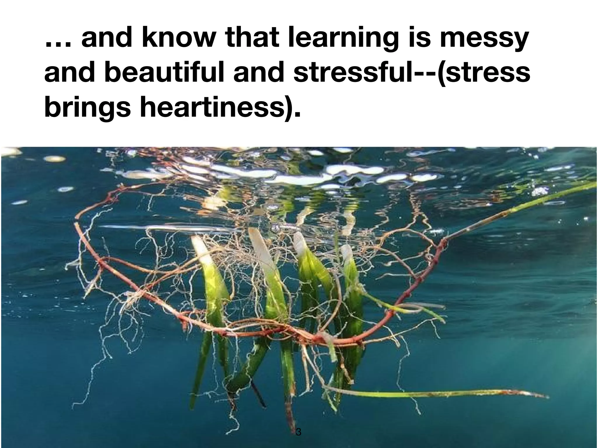 … and know that learning is messy
and beautiful and stressful--(stress
brings heartiness).
3
 