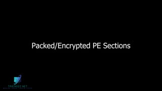 Packed/Encrypted PE Sections
 