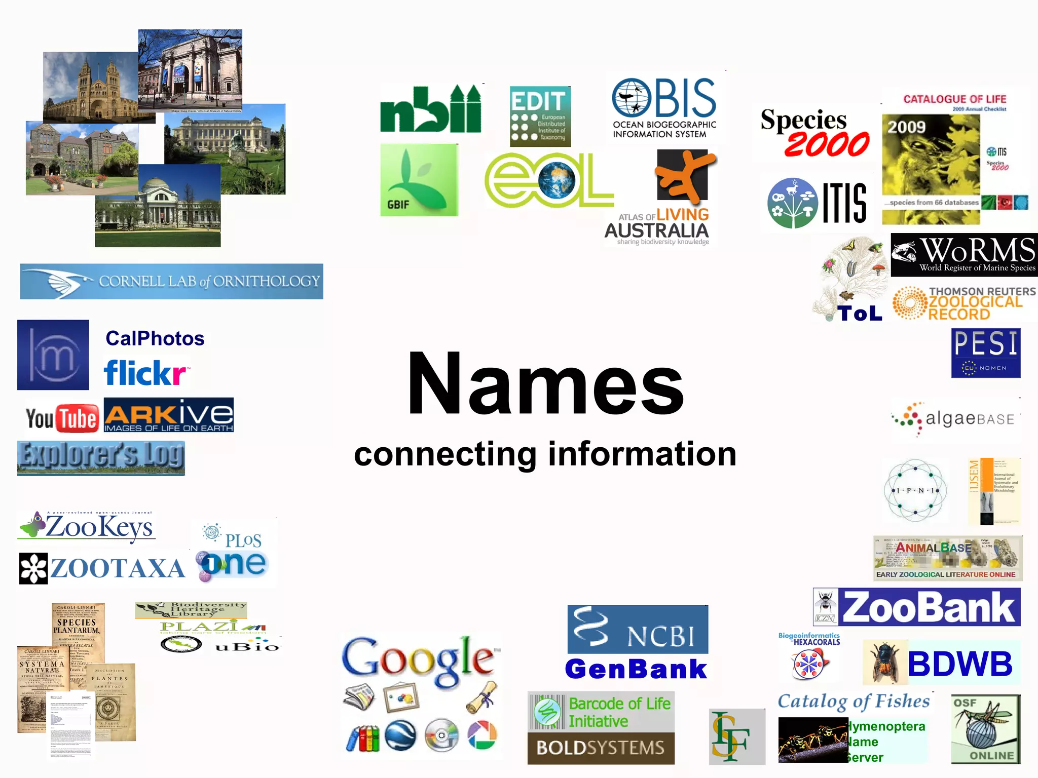 GenBank
Hymenoptera
Name
Server
BDWB
CalPhotos
Names
connecting information
ToL
 