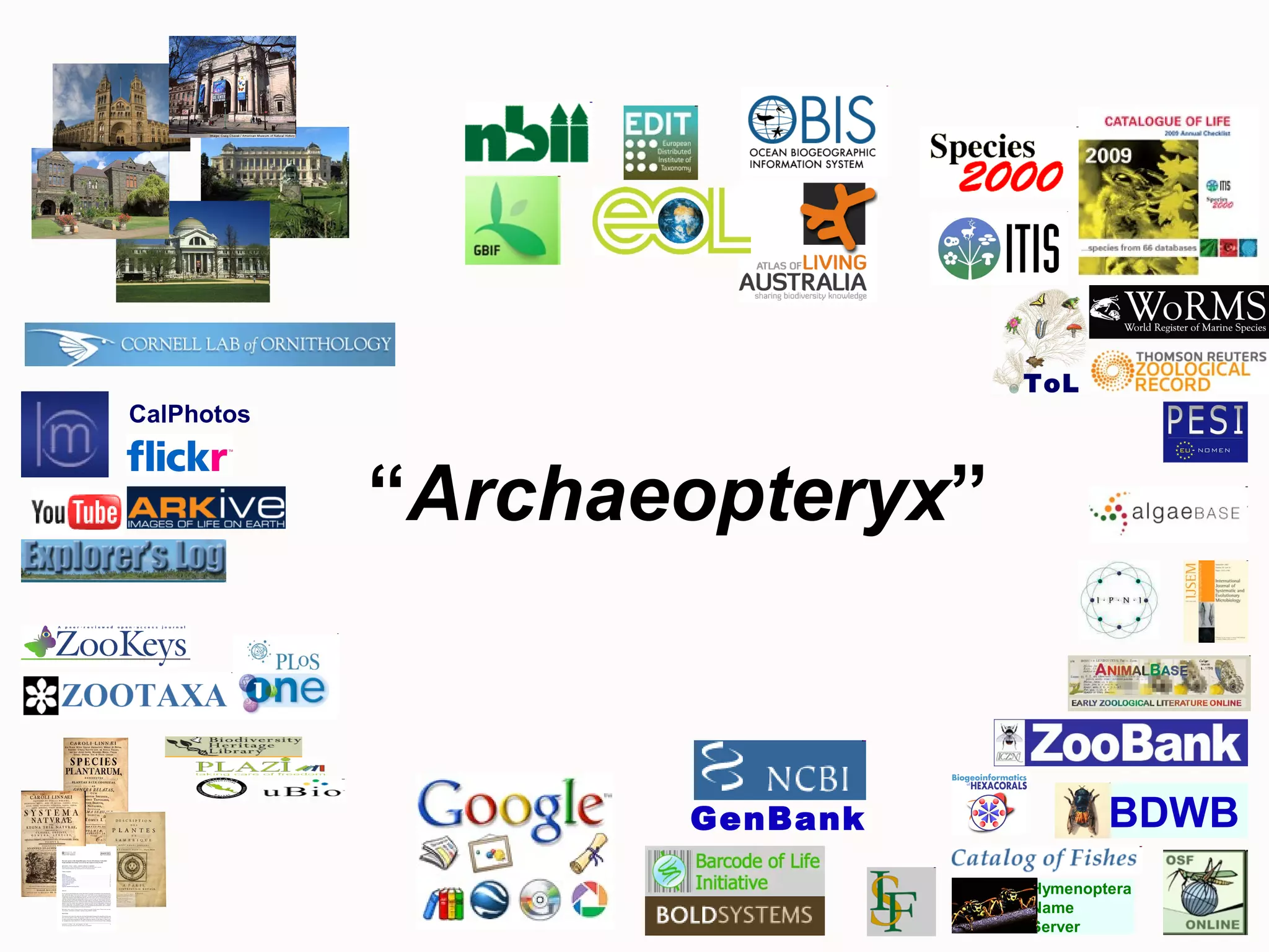 GenBank
Hymenoptera
Name
Server
BDWB
CalPhotos
“Archaeopteryx”
ToL
 