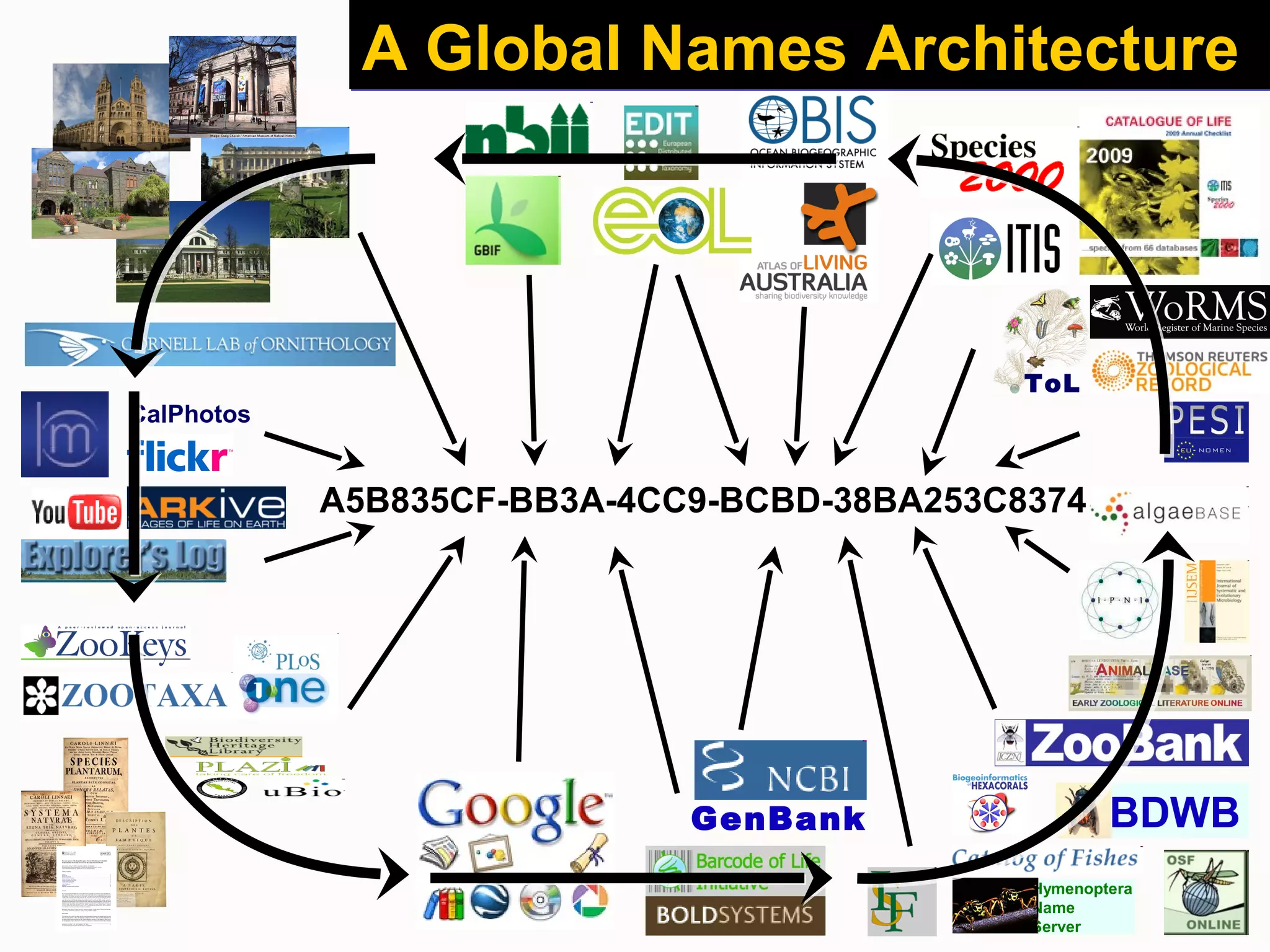 ToL
GenBank
Hymenoptera
Name
Server
BDWB
CalPhotos
A Global Names ArchitectureA Global Names Architecture
A5B835CF-BB3A-4CC9-BCBD-38BA253C8374
 