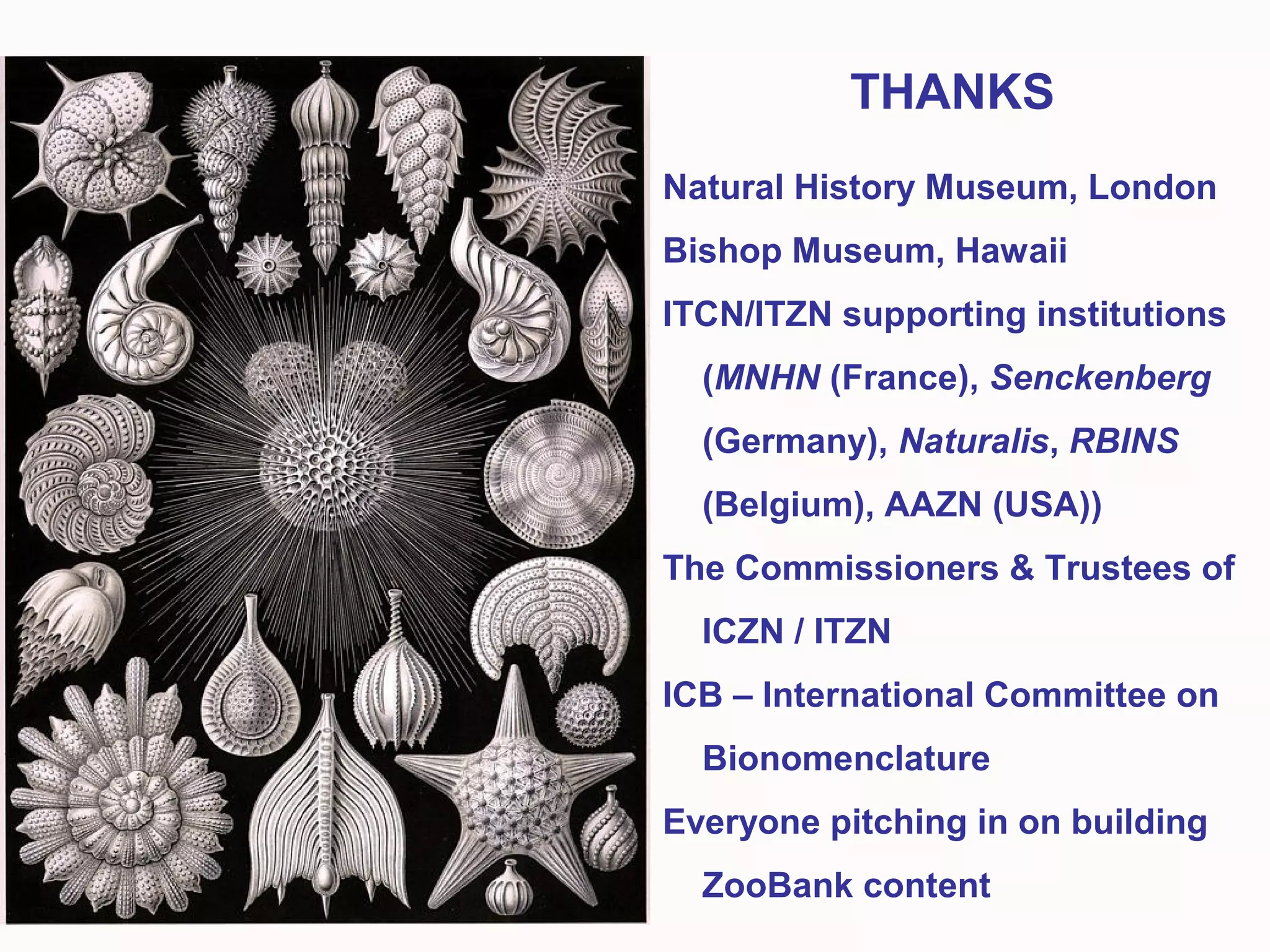 Natural History Museum, London
Bishop Museum, Hawaii
ITCN/ITZN supporting institutions
(MNHN (France), Senckenberg
(Germany), Naturalis, RBINS
(Belgium), AAZN (USA))
The Commissioners & Trustees of
ICZN / ITZN
ICB – International Committee on
Bionomenclature
Everyone pitching in on building
ZooBank content
THANKS
 