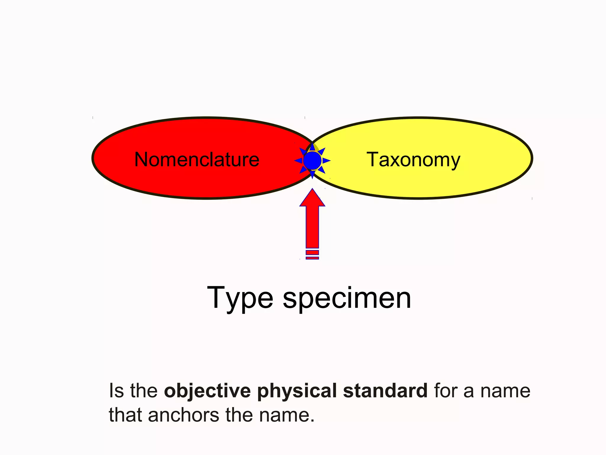 Nomenclature Taxonomy
Type specimen
Is the objective physical standard for a name
that anchors the name.
 