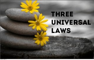 three
universal
laws
martedì 23 luglio 13
 