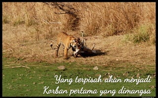 ? Mahasiswa dan Organisasi
?
Organisasi yang mumpuni dan keren
? jangan salah kaprah dengan kekuatan organisasi

 