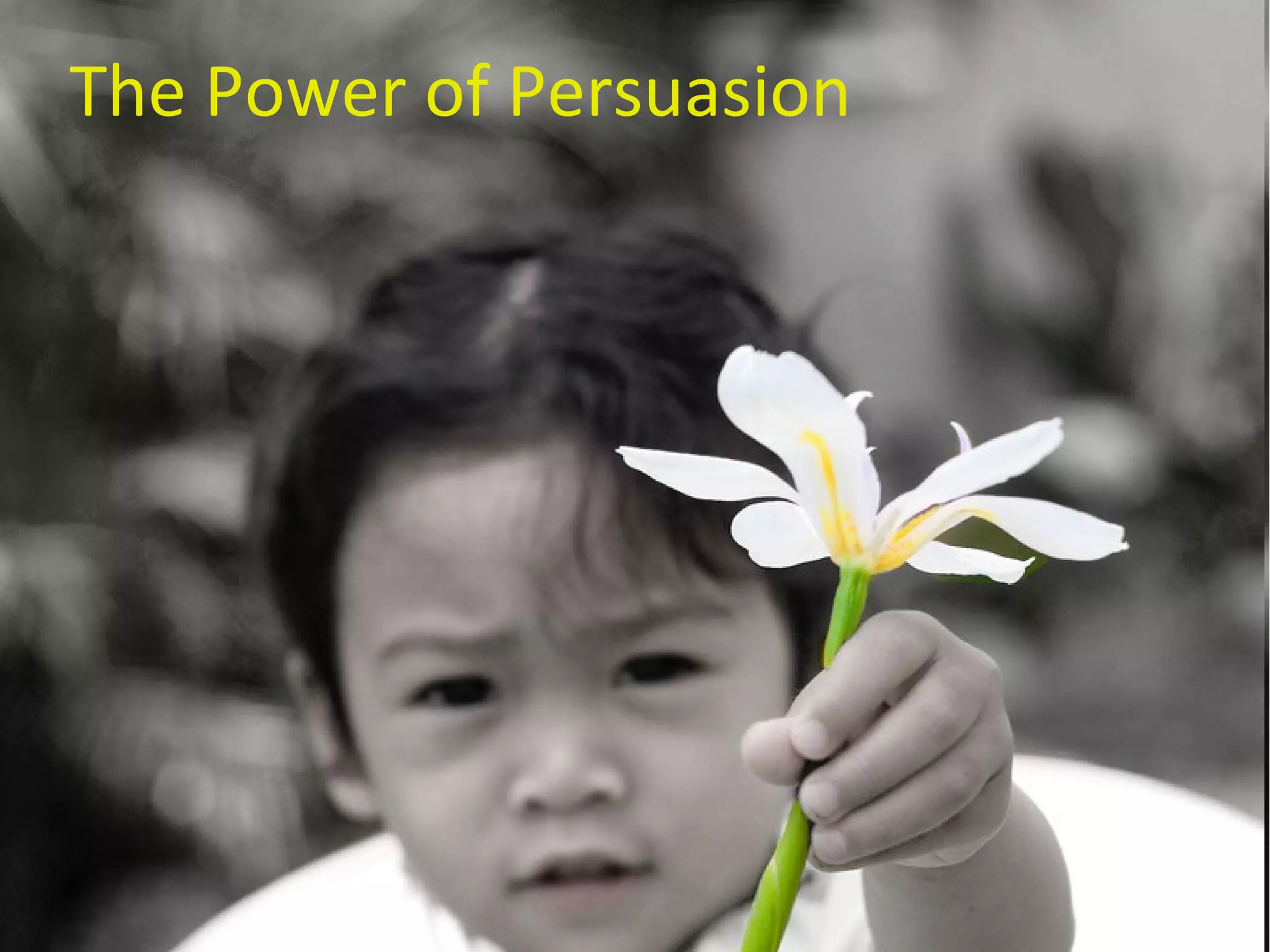 Newsmax Anchors: The Power Of Persuasion - nyxb852