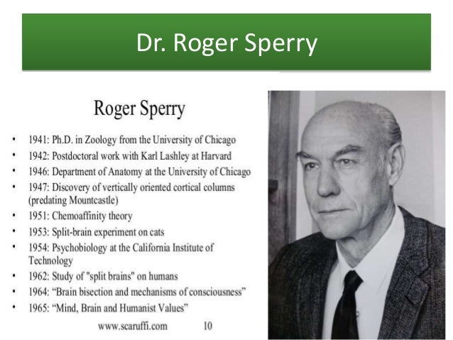 Roger sperry essay image