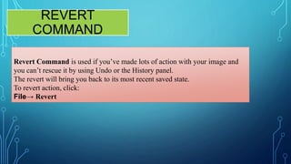 The Power of Undo.pptx