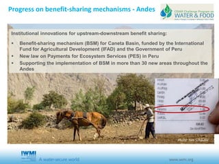 The power of water - Four propositions and a resolution 