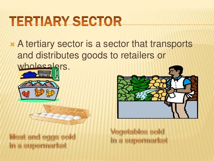 economics for tertiary sector essay Business sectors ao7 the tertiary sector is increasing because businesses are attracted towards related gcse business studies skills and knowledge essays. economics for tertiary sector essay Business sectors ao7 the tertiary sector is increasing because businesses are attracted towards related gcse business studies skills and knowledge essays.