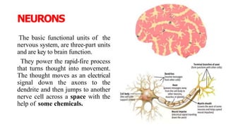 NEURONS
The basic functional units of the
nervous system, are three-part units
and are key to brain function.
They power the rapid-fire process
that turns thought into movement.
The thought moves as an electrical
signal down the axons to the
dendrite and then jumps to another
nerve cell across a space with the
help of some chemicals.
 