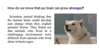 How do we know that our brain can grow stronger?
Scientists started thinking that
the human brain could develop
and change when they studied
animals’ brains. They found out
that animals who lived in a
challenging environment were
different from animals who lived
alone in brain cages.
 