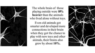 The whole brain of those
playing outside were 10%
heavier than the animals
who lived alone without toys.
Even old animals got
smarter and developed more
connections in their brain
when they got the chance to
play with new toys and other
animals, their brains also
grew by about 10%.
 