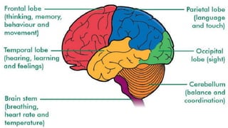 THE POWERS OF THE MIND PERSONAL DEVELOPMENT.pptx